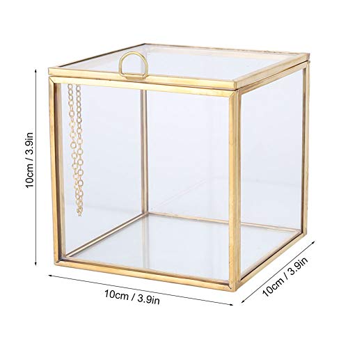 Glass Planter, 3.9in Geometric Terrarium with Gold Copper Frame