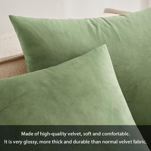 MIULEE Velvet Pillow Cover Soft Luxury Decorative Throw Pillow Cover Single Rectangle Cushion Case for Spring Couch Sofa Bedroom Car Decor,12x20 Inch Sage Green | Soft Luxury Decorative Throw Pillow Cover, Single Rectangle Cushion Case, Home Decor for Cha
