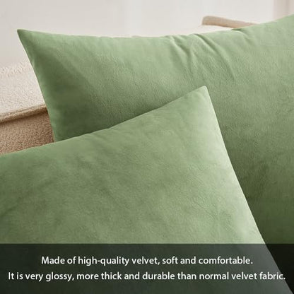 MIULEE Velvet Pillow Cover Soft Luxury Decorative Throw Pillow Cover Single Rectangle Cushion Case for Spring Couch Sofa Bedroom Car Decor,12x20 Inch Sage Green | Soft Luxury Decorative Throw Pillow Cover, Single Rectangle Cushion Case, Home Decor for Cha
