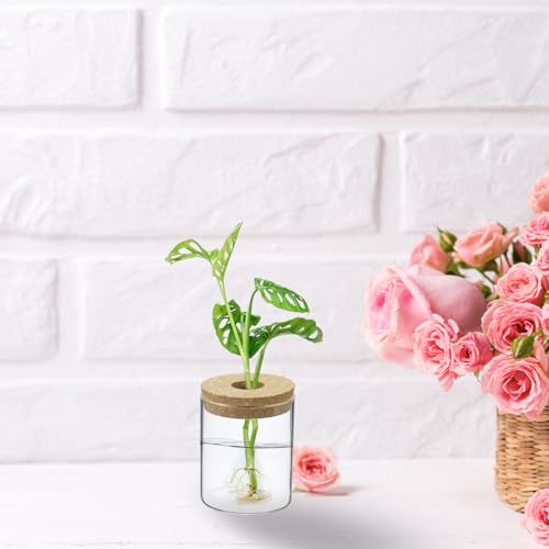 M METERXITY 1 Pack Glass Planter Terrarium with Wooden Cover, Desktop Plant Propagation Station Clear Vase for Hydroponic Plants Propagation/Home Garden Decor/Plant Lover [3.35'' x 3.94''] - size: 3.35'' x 3.94''