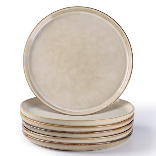 AmorArc Ceramic Plates Set of 6, 8.5 Inch Stoneware Small Plates Set | Reactive Glaze Dishes for Kitchen Dessert, Salad, Appetizer, Dinner, Microwave & Dishwasher Safe, Scratch Resistant Dishware - color: Cappuccino, size: 8.5 inch