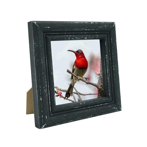 4x4 Picture Frame Made of Solid Wood High Definition Glass Rustic Antique Designs Small Photo Frame for Tabletop Display and Wall Mounting, Distress Black - color: Distress Black B, size: 4" X 4"