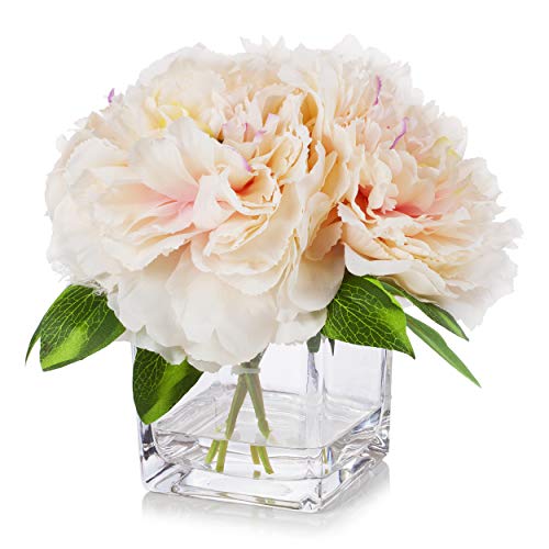 Silk Peony Flowers Arrangements in Cube Glass Vase with Faux Water for Home Table Wedding Centerpiece Decoration (Peach) - color: Peach