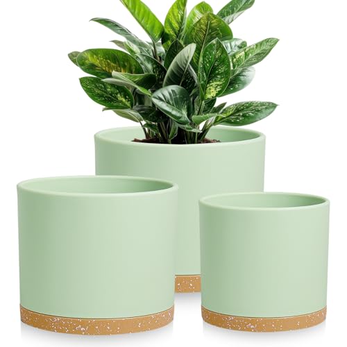 Large Plant Pots Set of 3 – 8", 9", 10" Indoor Flower Pots with Drainage Holes and Saucers, Big Planters for Monstera, Fiddle Leaf Fig, Snake Plant – 5 Colors - color: Green With Brown Base