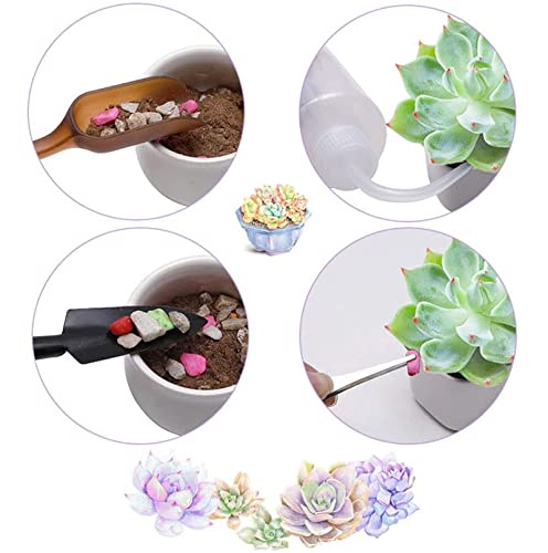 14Pcs Mini Bonsai Tools Set Gardening Transplanting Tools Succulent Plant Tools Set for Shovel Operation Convenient Indoor and Outdoor Small Fairyland Garden Plant Care