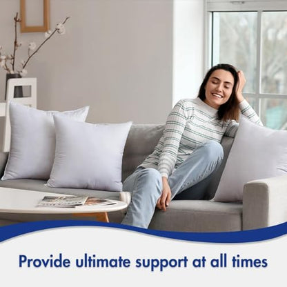 MIULEE 24x24 Down Alternative Pillow Insert Euro Decorative Throw Pillow 24 x 24 Inch Body Bed Sleeping Ultra Soft Fluffy Form for Sofa Couch Bed (Pack of 2) - size: 24x24Inch (pack of 2)