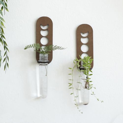 Artilady Plant Propagation Station Wall Hanging, Moon Phase Plant Terrarium | Boho Wood Air Plant Holder for Indoor Plants, Window Propagation Stations Vases for Living Room Bedroom Wall Decor, 2 Pack - color: Moon Phase Wood