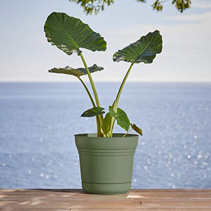 Bloem SP0542 Saturn Planter w/Saucer 5" Living Green, 5" - color: Living Green, size: 5"
