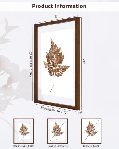 DLQuarts 16x20 Floating Picture Frame for 12x16/11x14 Photos, 2-Pack Solid Wood Double Plexiglass Wall Art Frames, Any Size Photo up to 16x20 Display, Black Walnut - color: Black Walnut, size: 16x20