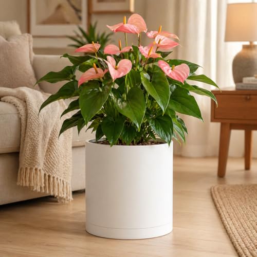 Giraffe Creation 14 Inch Cylinder Plant Pot, Modern Round Planter with Drainage Holes and Saucer, Durable Plastic Flower Pot for Indoor Outdoor Plants, White - color: White 14 Inch