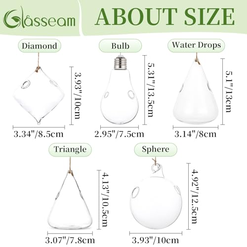 Glasseam Hanging Plant Propagation Station: 5Pcs Small Glass Terrarium Jars | Hydroponic Planters for Indoor Pothos Cutting Propagate, Home Wall Window Decor, Handmade, Gifts for Plant Lovers