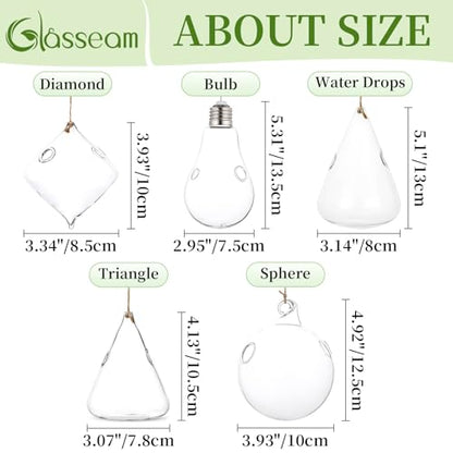Glasseam Hanging Plant Propagation Station: 5Pcs Small Glass Terrarium Jars | Hydroponic Planters for Indoor Pothos Cutting Propagate, Home Wall Window Decor, Handmade, Gifts for Plant Lovers