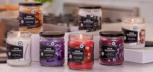 Siberian Fir Odor Eliminating Highly Fragranced Candle - Eliminates 95% of Pet, Smoke, Food, and Other Smells Quickly - Up to 80 Hour Burn time - 12 Ounce Premium Soy Blend - color: Siberian Fir