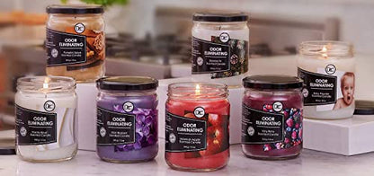 Siberian Fir Odor Eliminating Highly Fragranced Candle - Eliminates 95% of Pet, Smoke, Food, and Other Smells Quickly - Up to 80 Hour Burn time - 12 Ounce Premium Soy Blend - color: Siberian Fir