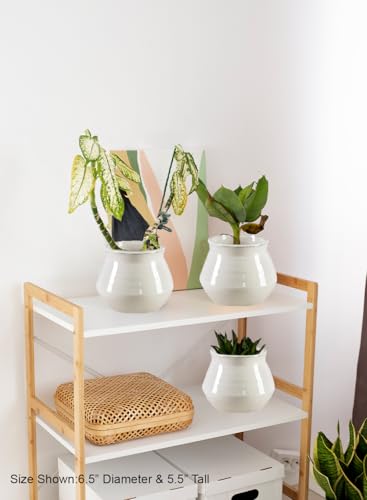 Serene Spaces Living Ivory Ceramic Pot Vase - Elegant Glossy Finish, Timeless Flared Design, Perfect for Floral Arrangements, Modern Home Décor & Gift Ideas, 6.5" Diameter & 5.5" Tall, Pack of 12