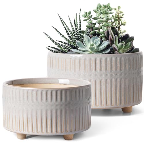 LE TAUCI Succulent Pots, 6.5+8 Inch Ceramic Indoor Plant Pot with Drainage Hole, Shallow Round Succulent Planters, Set of 2, Reactive Glaze Star White - color: Reactive Glaze Star White
