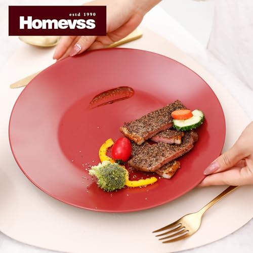 HomeVss Colors Life 16pc Dinnerware Set，Shiny Black and Matte Berry - color: Berry, size: 16pc Set