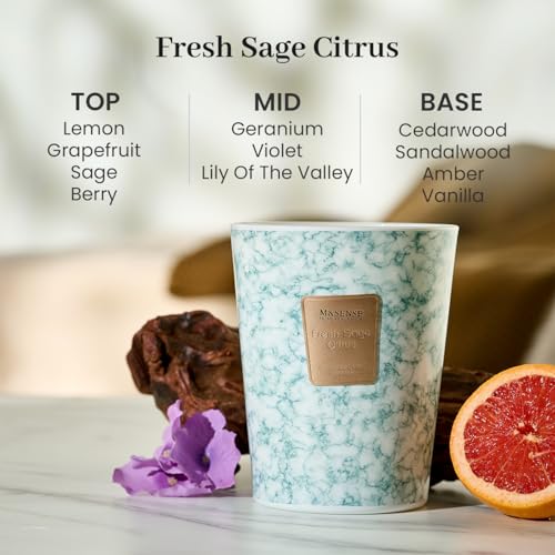 M&SENSE Extra Large Candle 35oz 150H FreshSageCitrus Scented Candle,3 Wick Highly Scented Jar Candle, XL Candles Gift for Stress Relief, Meditation, Yoga - color: FreshSageCitrus, size: Large