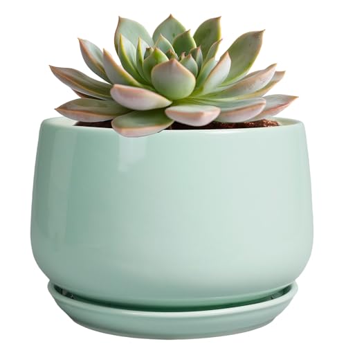 G EPGardening Ceramic Plant Pots - 6 Inch Pot for Plants, Ceramic Planter with Drainage and Saucer, Flower Indoor Outdoor Planter, Modern Bathroom Decor, Birthday Gifts, Green - color: Mint Green, size: 5 Inch