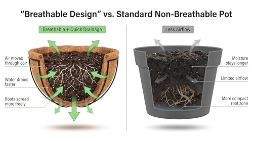 Kingbuy 10 Inch Hanging Planter Basket with Coconut Liner Wire Plant Holder Chain Flower Baskets Pot Hanger Home Garden Decoration for Indoor Outdoor, 2 Pack - size: 10 Inch, style: 2 Pack