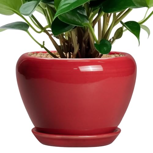 Ceramicfor 6 Inch Plant Pot - Glaze Modern Ceramic Planter for Indoor Plants, Succulent Pot with Drainage Hole and Saucer, Office Garden Home Decor, Housewarming Gift, Red - color: Glossy Red, size: 6 Inch