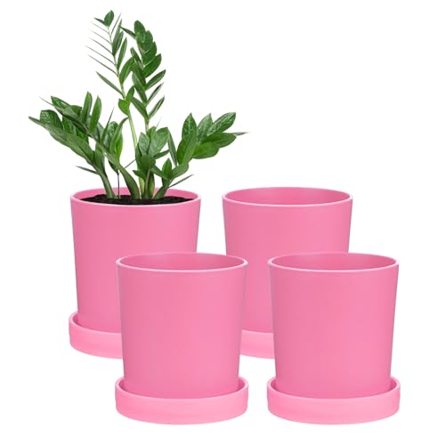 M METERXITY 4-Pack Plant Pots, 3.5 Inch Plastic Flower Pots with Drainage Holes for Cactus/Succulents Pot/Small Plants/Home/Garden, Planters for Indoor Plants [Pink] - color: Purple, size: Diameter 3.5 Inch