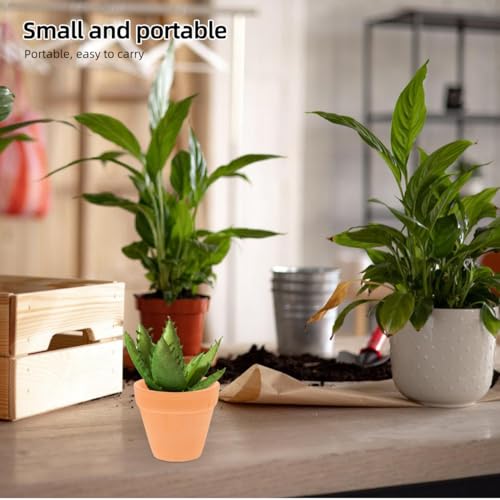 DECHOUS 12-Pack Mini Terracotta Pots, 2.16 Inch Clay Planters | Small Plant Pots with Drainage Holes for Succulents, Cactus, Herbs, Seedlings, Indoor Gardening, DIY Crafts