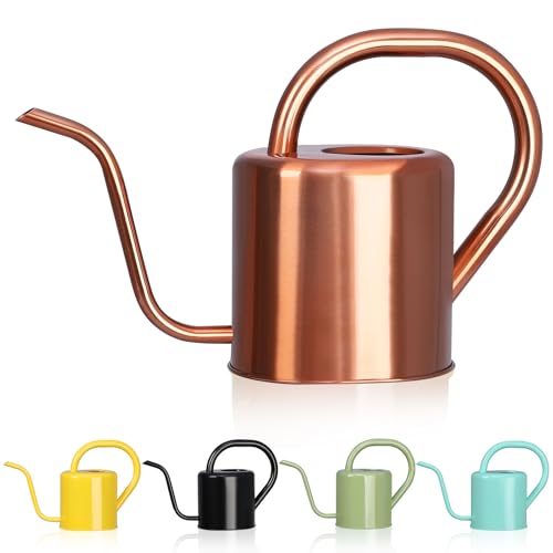 Watering Can, Stainless Steel Watering Can for Indoor & Outdoor Plants, 1L/35oz Long Spout Water Can with Handle, Rust-Proof Plant Watering Pot for House Plants, Garden Flowers - color: Rose Gold