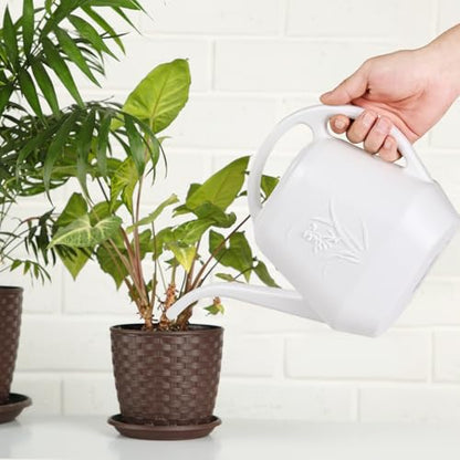 ZXJ Plant Watering Can - for Indoor and Outdoor Home Garden Plants - with Long Spout - White - 1/2 Gallon - color: White