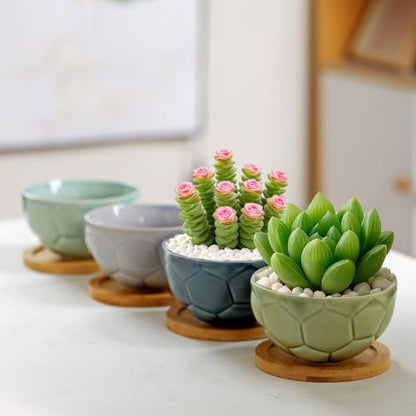 YYW Ceramic Succulent Planter, 4 Pack Cute Garden Pots with Drainage and Attached Saucer - color: Light Ceramics