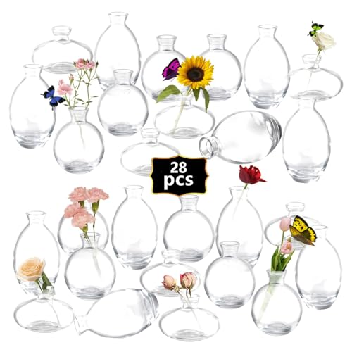 Mini Bud Vases As Wedding Centerpieces for Tables,Clear Bud Vases for Flowers,Small Flower Vases Suitable for Birthday Party,Anniversary,Wedding Reception,Baby Shower (Clear, 28PCS) - color: 28pcs