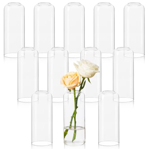 12pcs Glass Bud Vases - 6.7 Inch Tall Clear Flower Vases for Centerpieces, Glass Vase Modern Bud Vase for Wedding Party Dining Table Centerpieces, Living Room Decorative, Home Decor - size: 12 Pcs 6.7 Inch