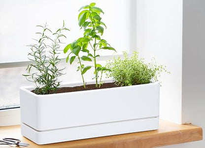 D'vine Dev Rectangular Planter, 12 x 4.5 in, White, Set of 1, 76-X-A-1 | Minimalist Design, Large Planting Capacity, Drainage Holes & Saucer, Thick-Walled Durable Build, Ideal for Windowsills - color: White