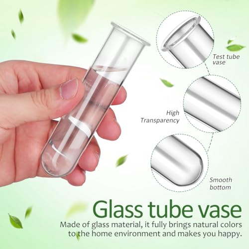 Yardwe 5Pcs Clear Glass Test Tubes Plant Propagation Station - Hydroponic Vases for Home and Office Decor