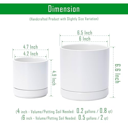 D'vine Dev 2-Pack Ceramic Pots with Saucers, White, 4/6 in, 94-G-S-1 | Glazed Ceramic, Drainage Hole, Perfect-Fit Saucer, Sleek Cylinder Shape, High Temperature Fired, Elegant Home Accent - color: White, size: Small