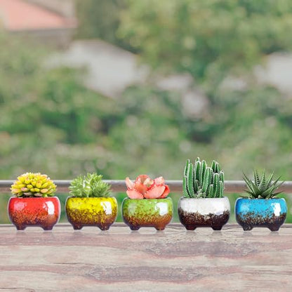 ARTKETTY Succulent Pots, 4.7 Inch Small Plant Pots with Drainage Pack of 5 | Ceramic Planters for Indoor Cactus Plants Glazed Flower Plant Container - color: 4.7"-rectangular(5pcs)