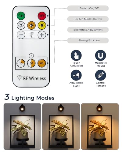 Bamworld Hanging Planters for Indoor Plants Wall Decor Living Room Light | Plant Stand Indoor Wall Planters Plant Hanger Window Plant Shelves 3-Packs with Lights