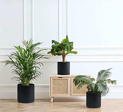 D'vine Dev 3-Pack Plastic Pots & Saucers, 6.5/8/10 in, Black, 74-V-B-4 | Multi-Size Options, Lightweight Durable, Matte Finish, Cylinder Shape, Drainage Holes, Sleek Design, Detachable Saucer - color: Matte Black, size: Large
