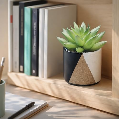 D'vine Dev 2-Pack Cachepot with Clear Pot, 3.5 in, Midnight Mesa, 93-V-A-2 | Dual-Pot System, Root Visibility, Bottom Watering Support, Enhanced Drainage, Artistic Stoneware Design, Easy Plant Care - color: Midnight Mesa, size: 3.5” Cachepot + 3“ Clear Gr