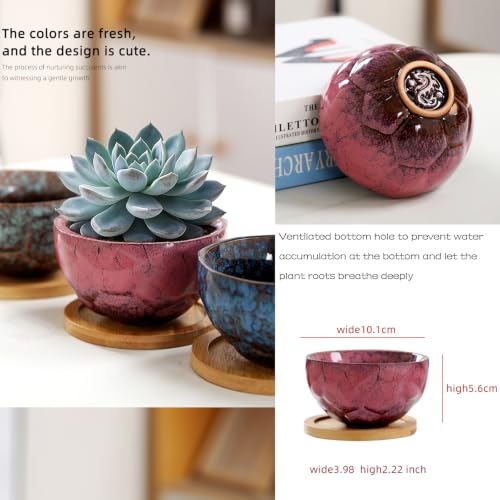 YYW Ceramic Succulent Planter, 4 Pack Cute Garden Pots with Drainage and Attached Saucer - color: Dark Ceramics