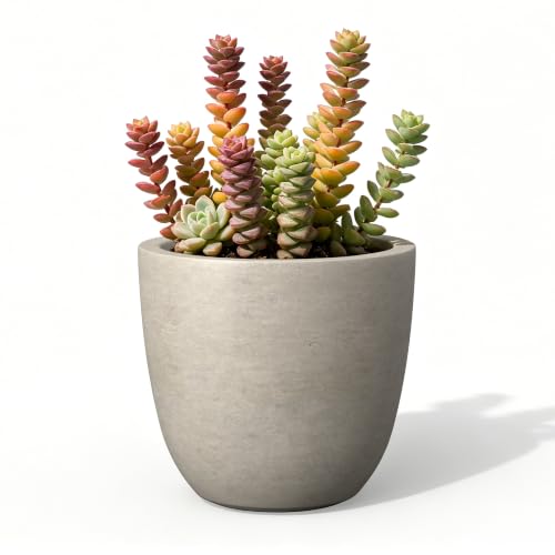Kante Accent Round Bowl Weathered Concrete Planter 14" Dia, Outdoor | Rubber Plug for Indoor, Drainage for Garden, All-Weather Cement Flower Pot, Handcrafted, Anti-Frost & UV, Modern Home Decor - color: Weathered Concrete, size: 14"d