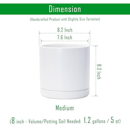 D'vine Dev 8.2 Inch Ceramic Planter Pot, White, 94-O-D-1 | Modern Cylinder Design, Drainage Hole & Saucer Included, Stable Structure, Elegant Home Accent - color: White, size: Medium