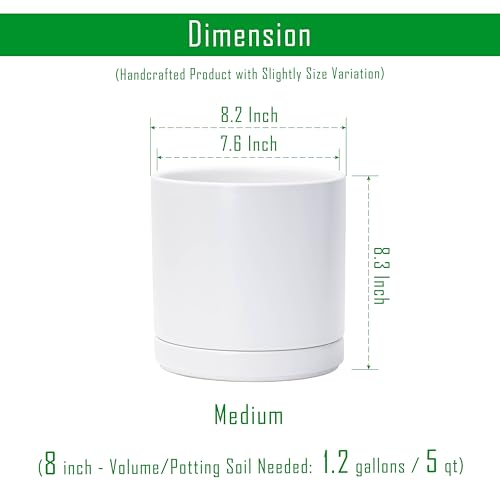 D'vine Dev 8.2 Inch Ceramic Planter Pot, White, 94-O-D-1 | Modern Cylinder Design, Drainage Hole & Saucer Included, Stable Structure, Elegant Home Accent - color: White, size: Medium