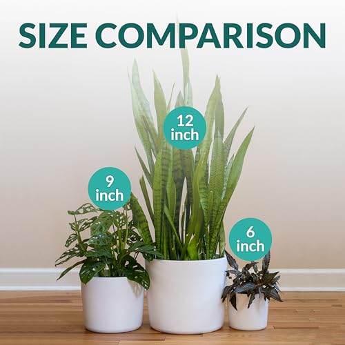 9 Inch Matte White Ceramic Planter with Drainage - Ceramic Plant Pots for Indoor, White Indoor Planter, Flower Pot, 9 Inch Plant Pot