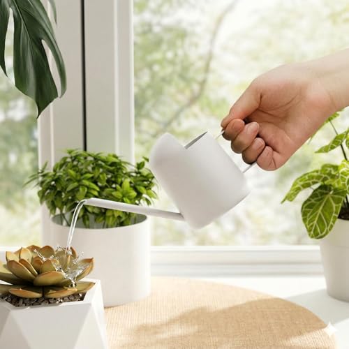 Bamworld Small Watering Can Indoor Outdoor Plant Metal Stainless Steel Long Spoutt Flowers Watering Cans for House Garden Plants 10OZ Watering Bottle Cute Stylish Gardening Decoration(Matte White) - color: Matte White