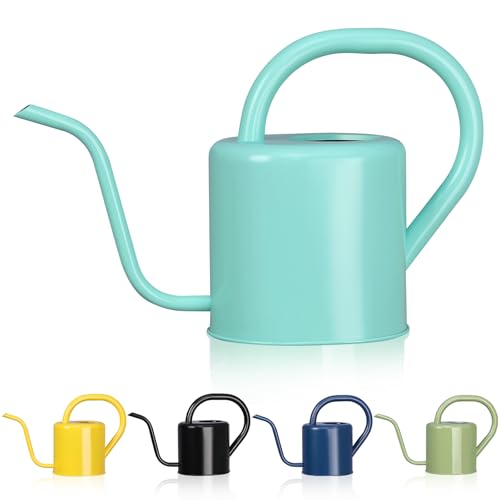 Watering Can, Stainless Steel Watering Can for Indoor & Outdoor Plants, 1L/35oz Long Spout Water Can with Handle, Rust-Proof Plant Watering Pot for House Plants, Garden Flowers - color: Light Green