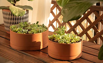 D'vine Dev Terracotta Shallow Planter Pot with Saucer, 10 in, 40-Y-B-0 | Wide Bowl Design, Unglazed Terracotta, Porous & Breathable, Minimalist Style, Ideal for Succulent Arrangements - size: 10 Inch