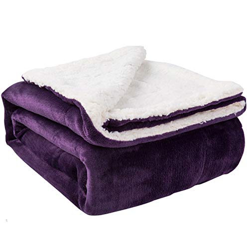NANPiper Sherpa Blanket - Twin Size Thick Velvet Plush Reversible Bed Blanket for Winter - Purple (60"x80") - color: Purple, size: Twin