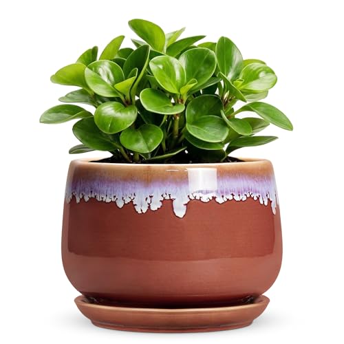 Ceramic Plant Pot - 6 Inch Planters for Indoor Plants, Round Ceramic Planter with Drainage Hole and Saucer, Decorative Small Plant Pots, Room Bookshelf Decor, Red-Purple - size: 6 Inch, style: Red-purple