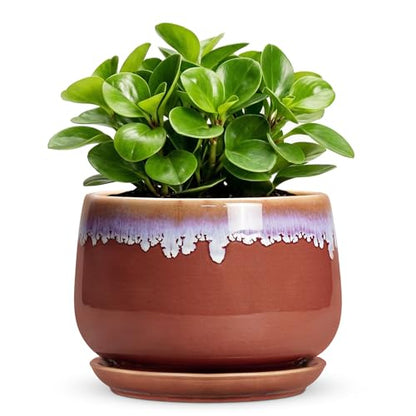 Ceramic Plant Pot - 6 Inch Planters for Indoor Plants, Round Ceramic Planter with Drainage Hole and Saucer, Decorative Small Plant Pots, Room Bookshelf Decor, Red-Purple - size: 6 Inch, style: Red-purple